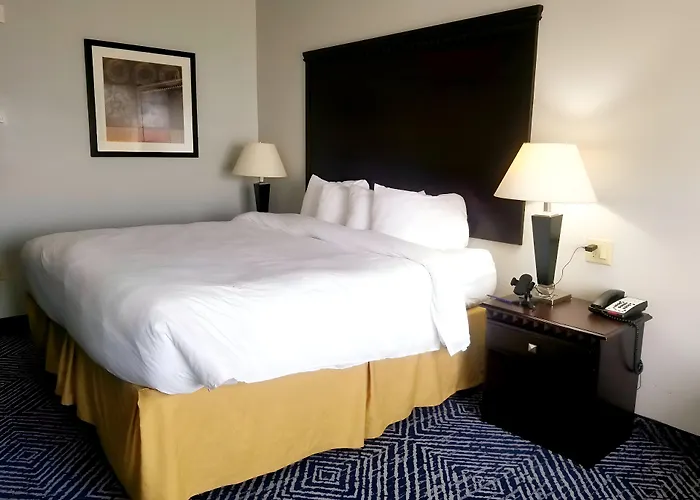 Comfort Inn & Suites Dallas Medical-Market Center