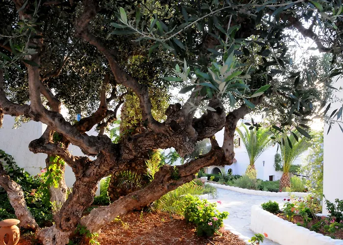 Hersonissos Village Hotel & Bungalows
