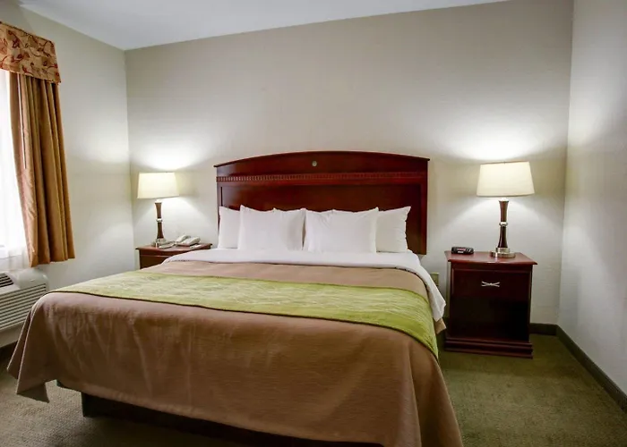 Quality Inn Rockdale