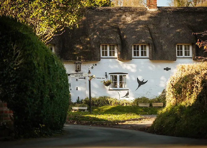 The Brace Of Pheasants Hotel Alton Pancras