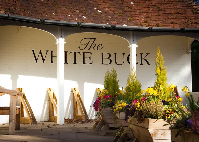 The White Buck Hotel Burley 