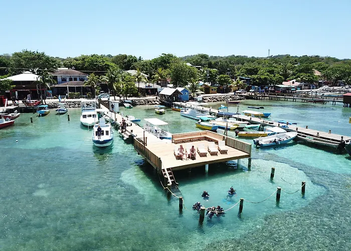 Splash Inn Dive Resort & Villas
