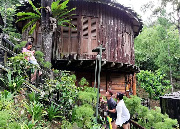 Fig Tree Hills Resort