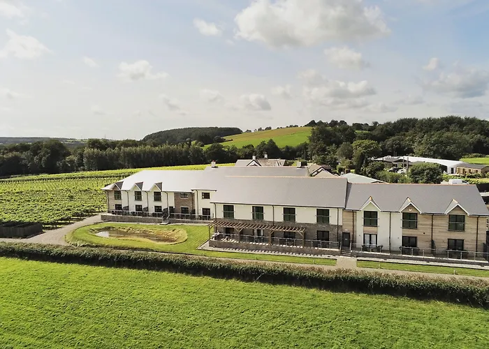 Llanerch Vineyard