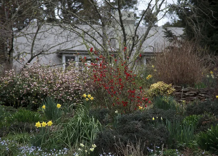 Parklands Country Gardens & Lodges Blue Mountains