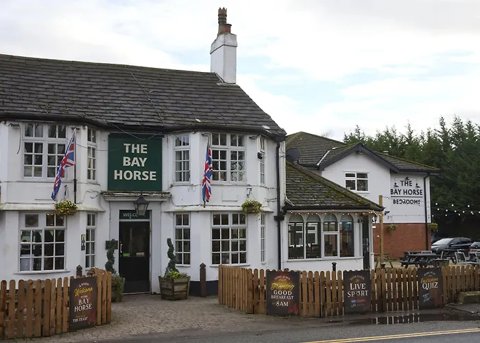 Bay Horse