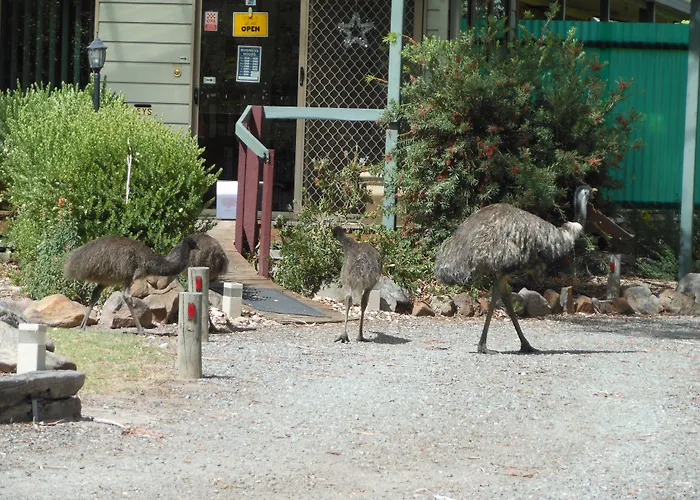 Grampians View Cottages And Units