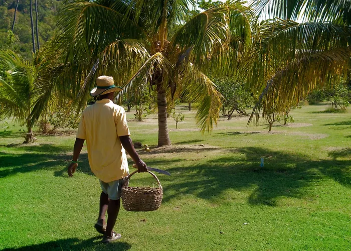 Firefly Estate Bequia Hotel Crescent Beach