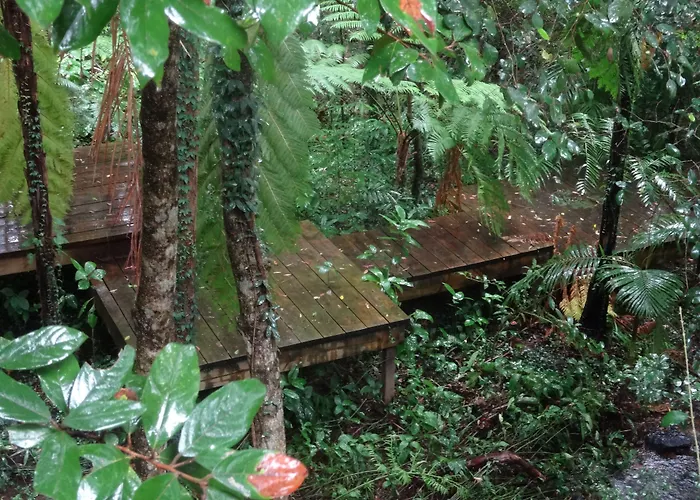 Treetops Montville