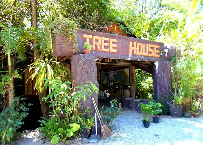 Khao Sok Tree House Resort Khao Sok National Park