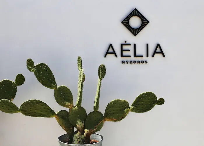 Aelia Mykonos