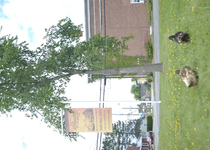 Gite Le Roupillon En Beauce