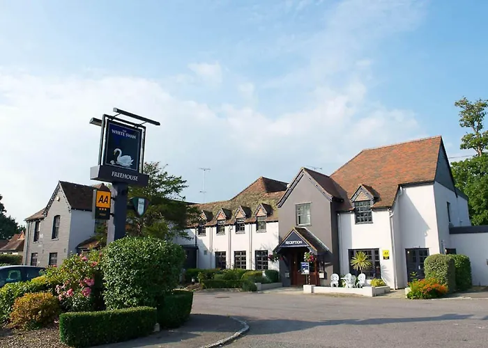 The White Swan