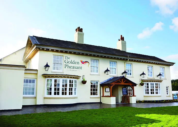 The Golden Pheasant
