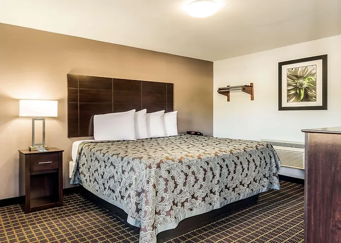 Rodeway Inn Middleboro-Plymouth