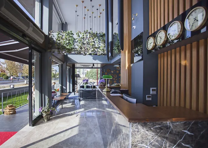 Hotel Cura