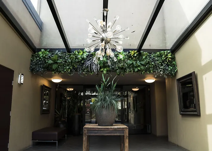Windsor Castle Hotel East Maitland