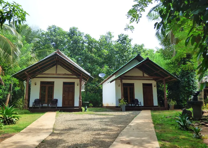 Green View Safari Resort