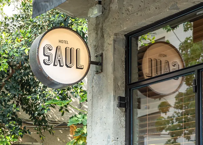 The Saul