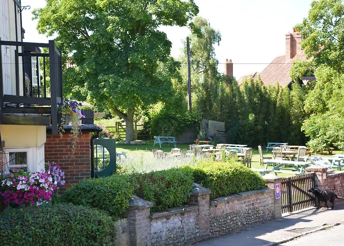 The Dolphin Inn