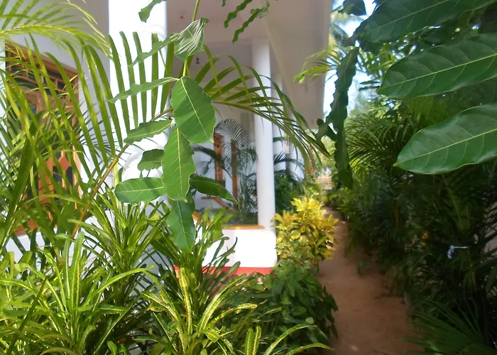 Surf & Sand Hotel Arugambay