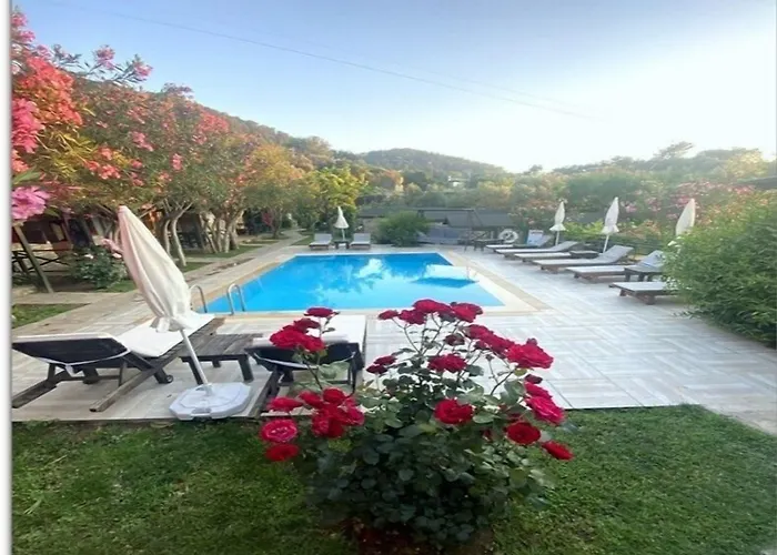 Montenegro Motel