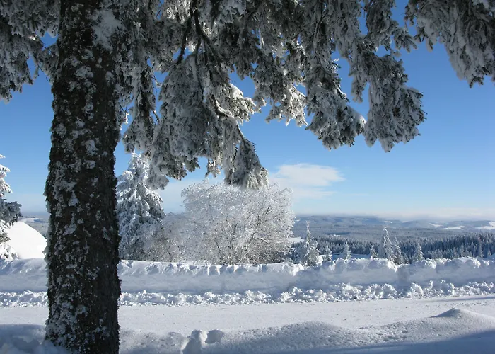 Elzland Hotel Pfauen Wellness & Spa Elzach
