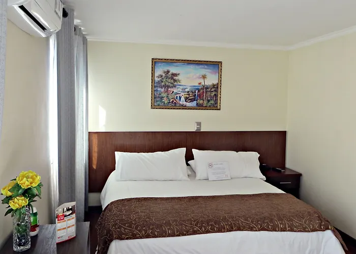Hotel Newen