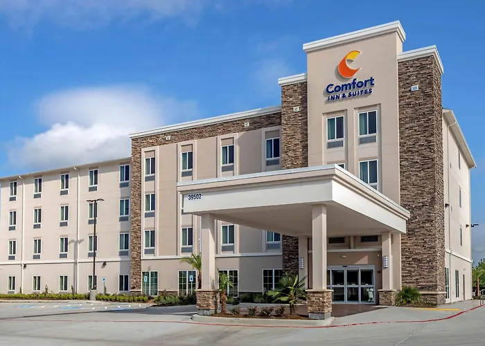 Comfort Inn & Suites