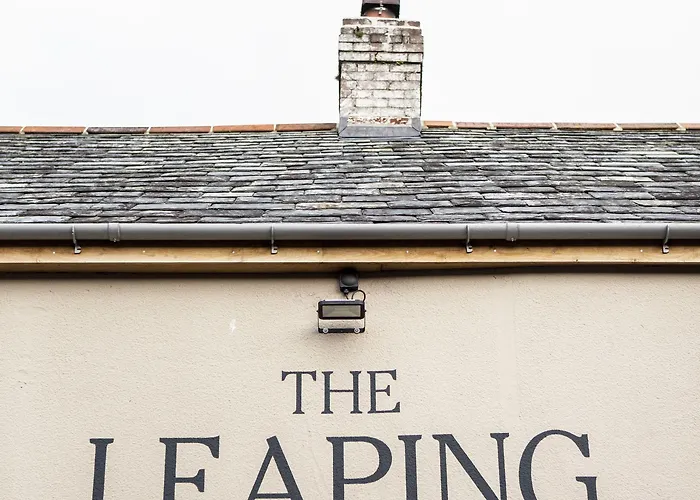 The Leaping Salmon