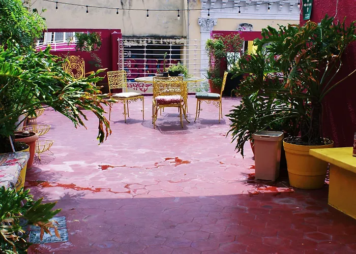 Free Spirit Hostel Guadalajara