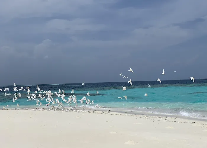 Perla Dhangethi