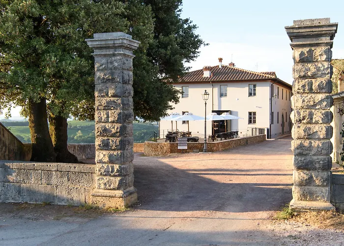 Laqua Vineyard
