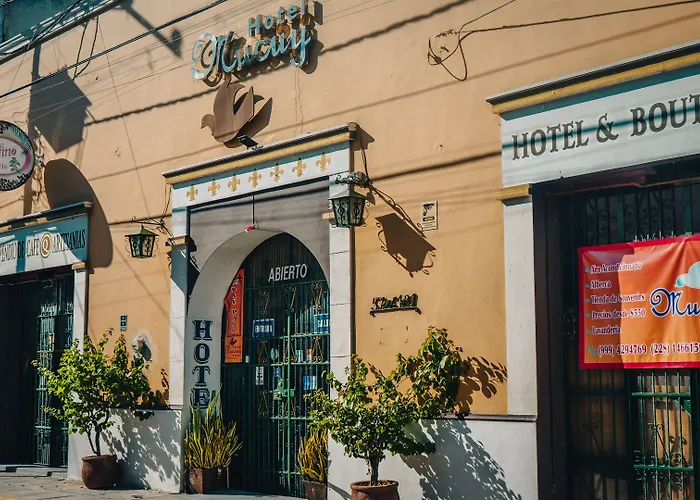 Hotel Mucuy