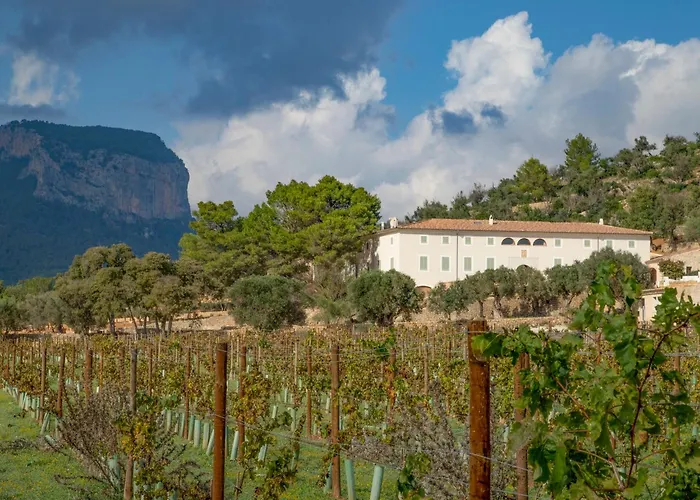 Finca Banyols, Vignette Collection By Ihg