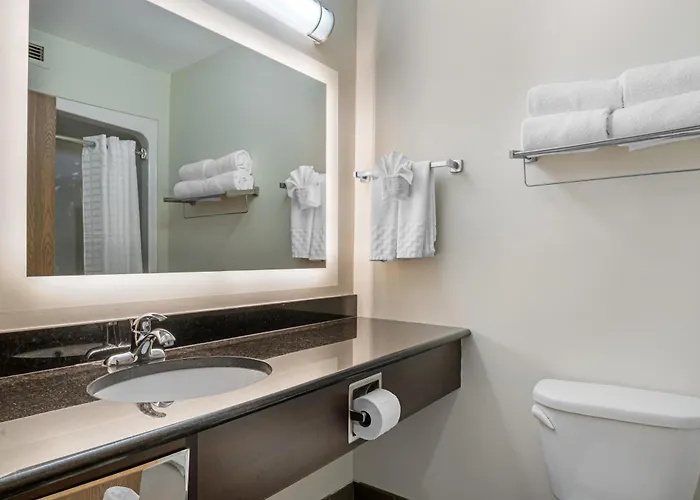 Best Western Plus Dartmouth Hotel & Suites