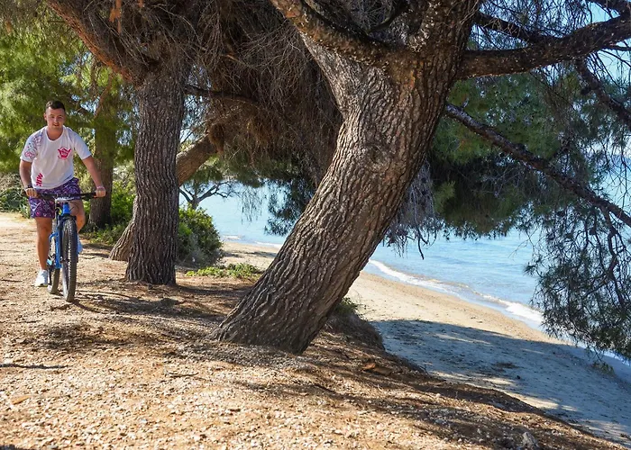 Anthemus Sea Beach Hotel&Spa Elia Nikitis
