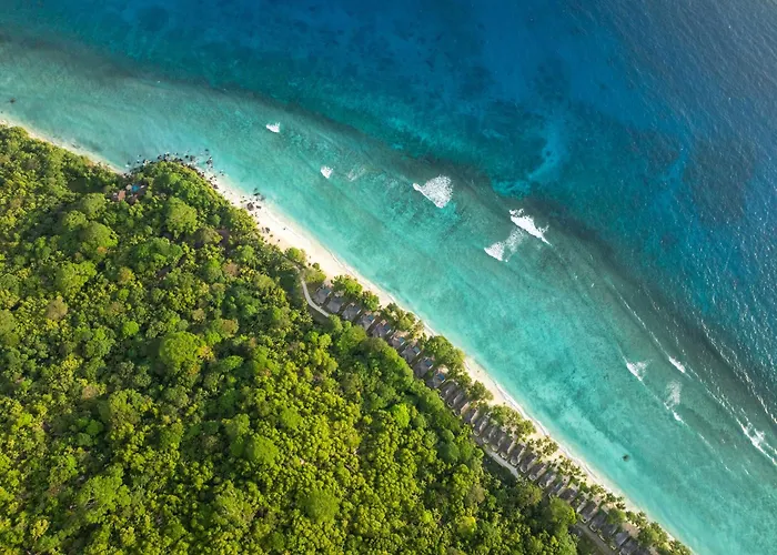 Niva Labriz Seychelles