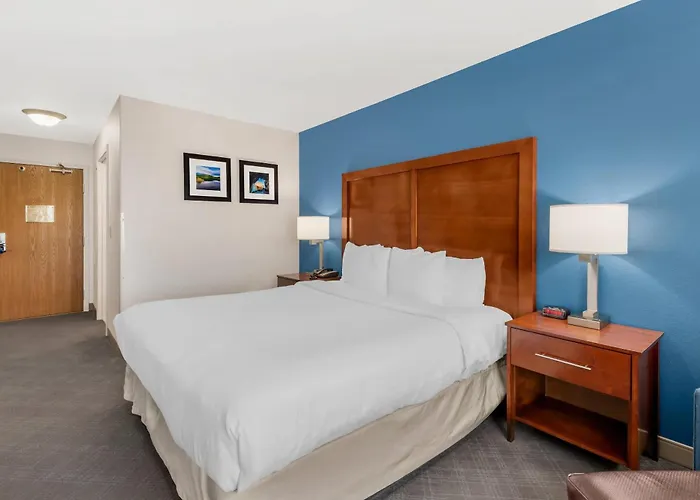 Comfort Inn & Suites Rifle