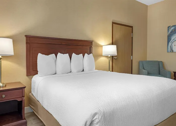 Best Western Plus Fredericton Hotel & Suites