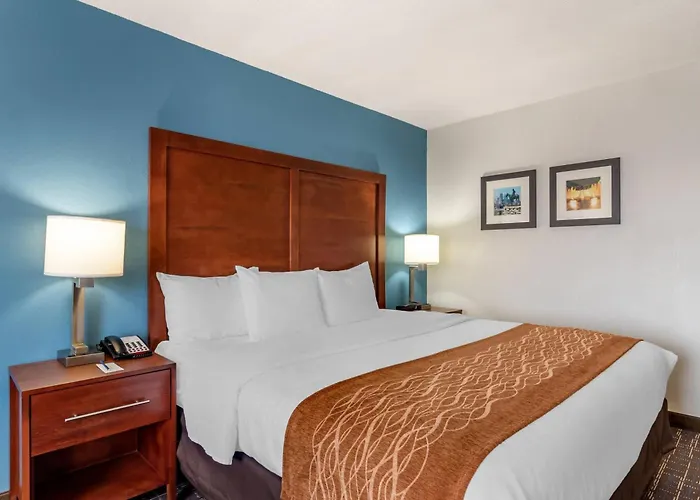 Comfort Inn & Suites Lees Summit - Kansas City