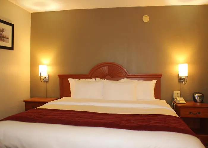 Comfort Inn University Center