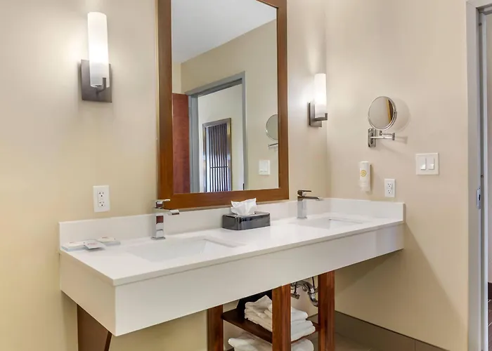 Comfort Suites Florence - Cincinnati South