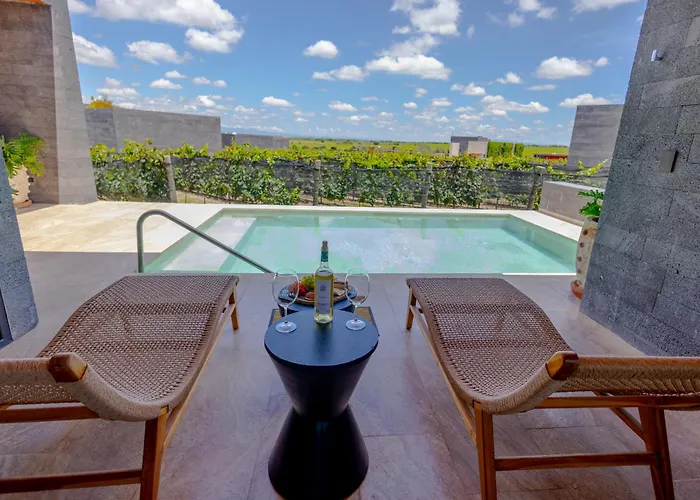 Hotel Tres Raíces Viñedo&Luxury