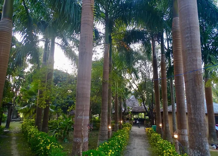 Mango Tree Lodge