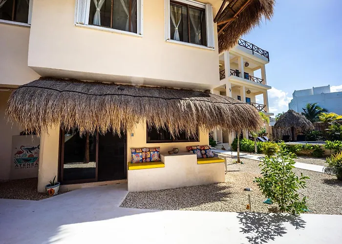 Atenea Holbox