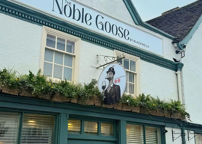 Noble Goose Rooms