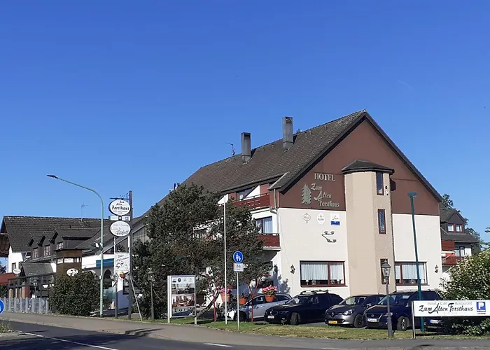 Land-Gut-Hotel Zum Alten Forsthaus - Aufladestation Fuer Elektroautos