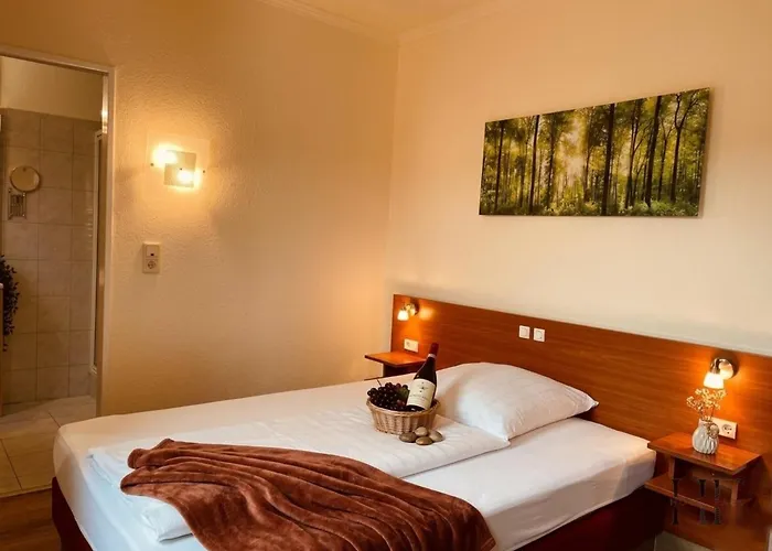 Hotel Falk