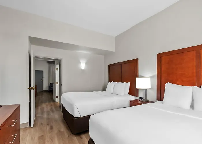 Comfort Suites Near Potomac Mills Woodbridge